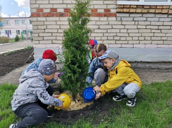 Аллея выпускников.